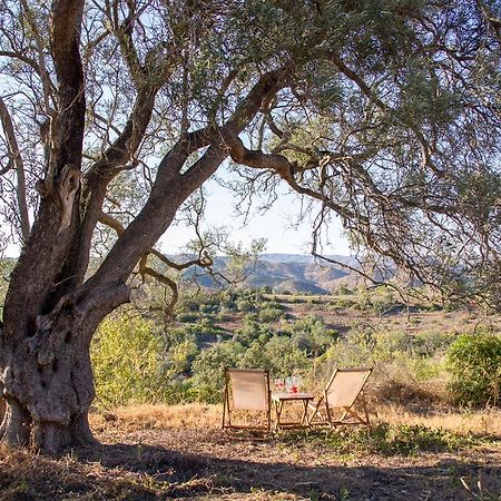 Monte Oliva - Turismo Rural Santo Estevao  المظهر الخارجي الصورة