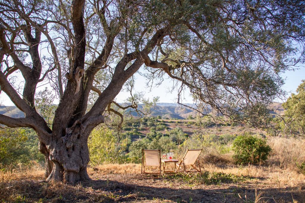 Monte Oliva - Turismo Rural Santo Estevao  المظهر الخارجي الصورة